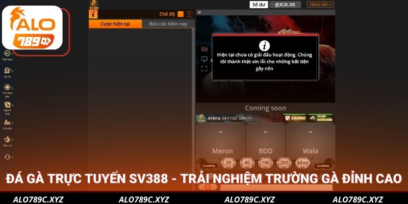 Đá gà trực tuyến SV388 - Trải nghiệm trường gà đỉnh cao