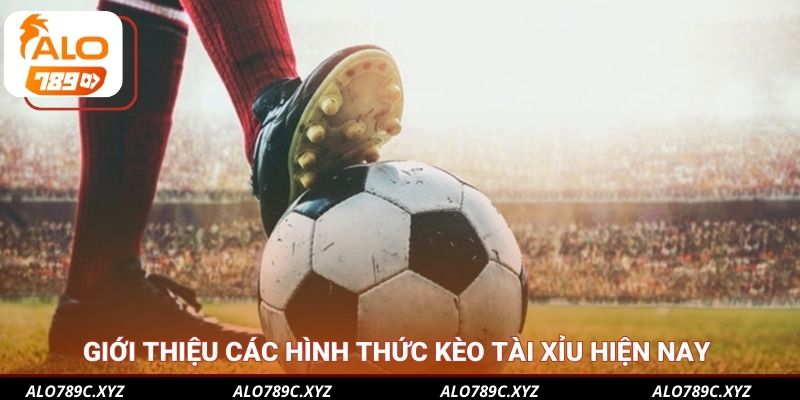 Giới thiệu các hình thức kèo Tài Xỉu hiện nay 
