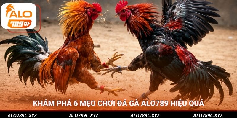 Khám phá 6 mẹo chơi đá gà Alo789 hiệu quả