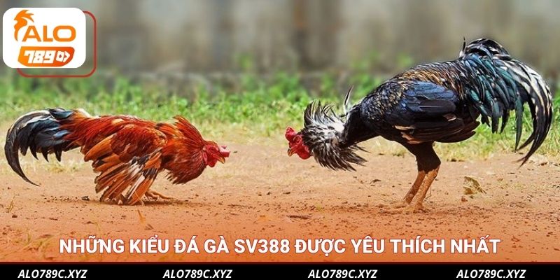 Những kiểu đá gà SV388 được yêu thích nhất