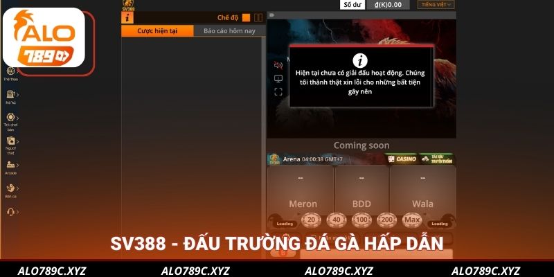 SV388 - Đấu trường đá gà hấp dẫn