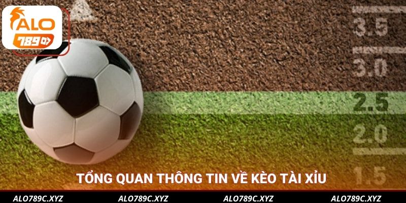 Tổng quan thông tin về kèo Tài Xỉu 