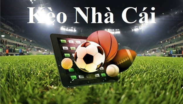 Bet20-Sở hữu code tân thủ và nhận ngay ưu đãi đặc biệt! Bet20-Sở hữu code tân thủ và nhận ngay ưu đãi đặc biệt!