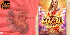 Dreams of Macau