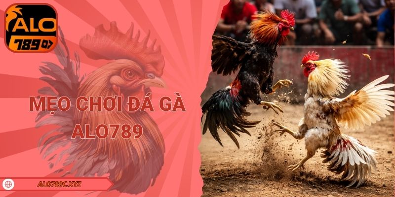 Mẹo chơi đá gà Alo789